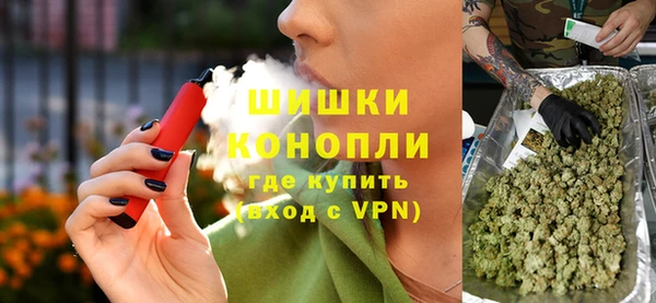 эйфоретик Няндома