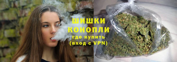 эйфоретик Няндома
