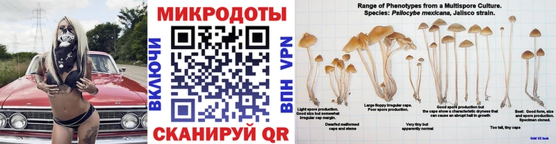 Галлюциногенные грибы мухоморы  Усть-Кут 