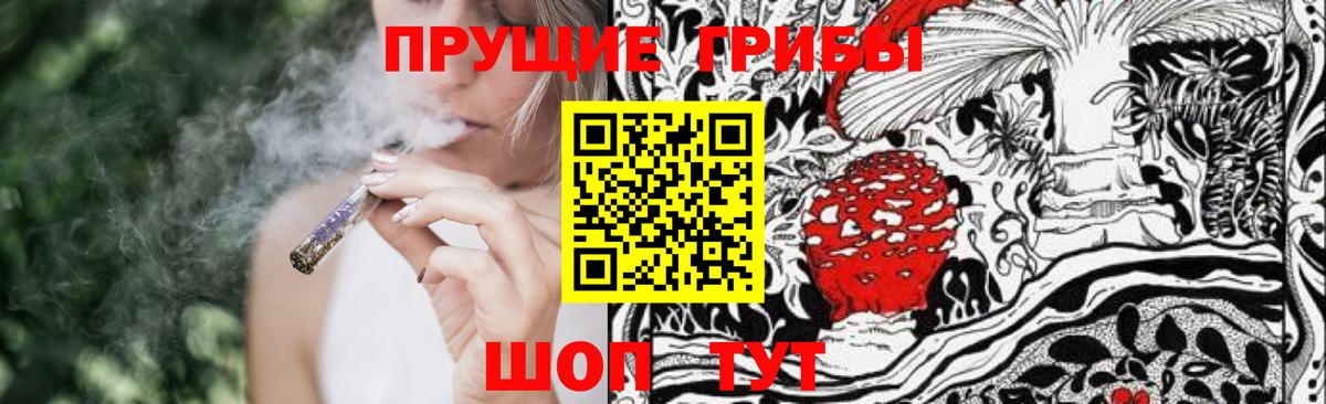 Псилоцибиновые грибы Psilocybine cubensis  где найти   Усть-Кут  Галлюциногенные грибы мухоморы 