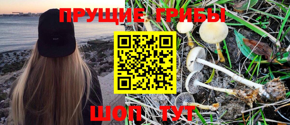 Псилоцибиновые грибы мухоморы Усть-Кут
